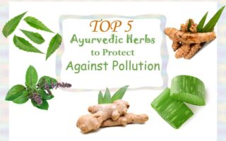 Top 5 Ayurvedic Herbs to Protect Against Pollution