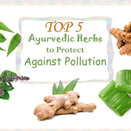 Top 5 Ayurvedic Herbs to Protect Against Pollution