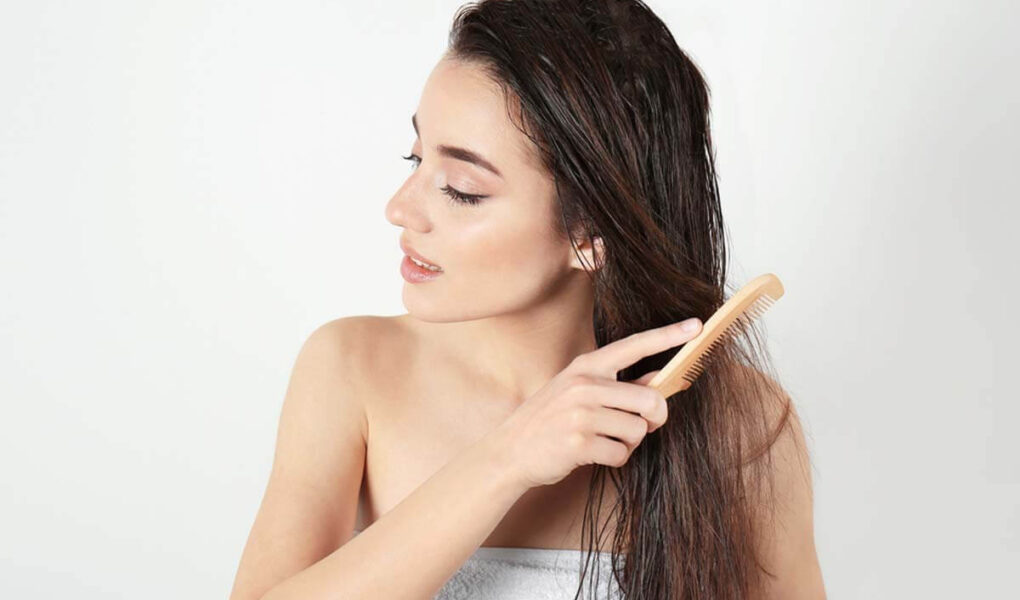 6 Tips to Follow for Dry Hair During This Winter Season 1 Top 6 Dry Hair Care Tips to Follow During This Winter Season