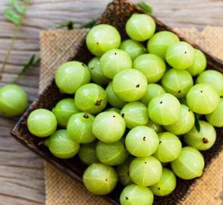 Amla and Bhringraj Hair Oil, Shampoo & Conditioner for Strong & Healthy Hair