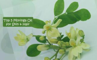Top 5 Moringa Oil and Its Benefits for Skin and Hair