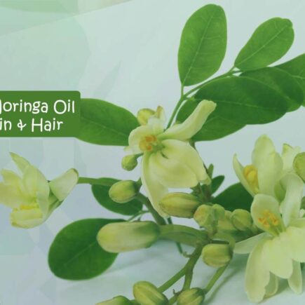 Top 5 Moringa Oil and Its Benefits for Skin and Hair