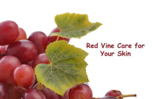 Let Your Skin Enjoy the Goodness of Red Vine - Red Vine Face Wash, Face Cream, Face Toner, Face Mask