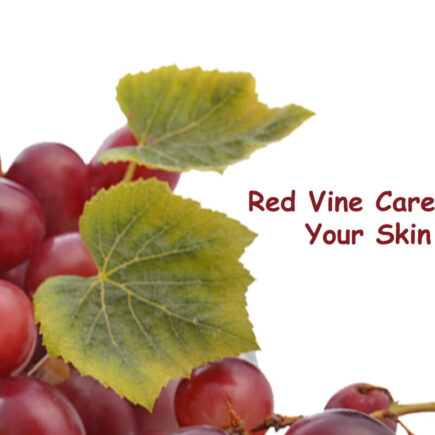 Let Your Skin Enjoy the Goodness of Red Vine - Red Vine Face Wash, Face Cream, Face Toner, Face Mask