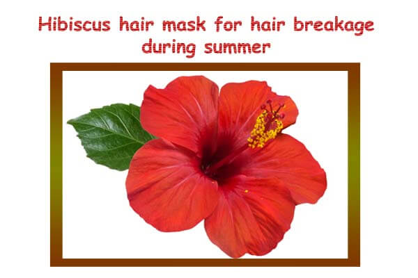 Top 5 Homemade Hair Mask for Hair During Summer 2 Hibiscus hair mask for hair breakage during summer