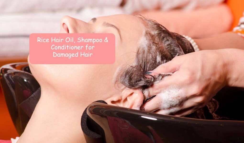 Mamaearth Rice Hair Oil, Rice Water Shampoo and Rice Water Conditioner for Damaged Hair