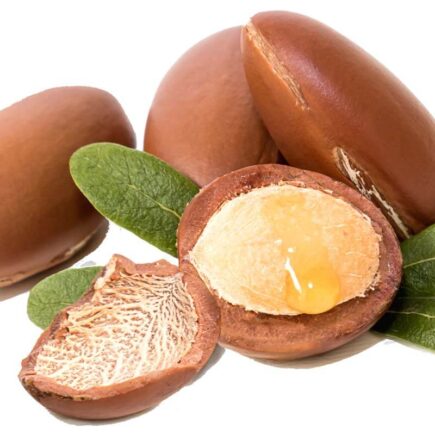 Top 10 Argan Oil Hair Mask in India 2021