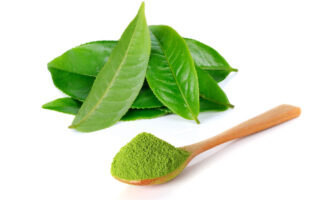 Top 5 Green Tea Product Range for Acne, Oily and Pigmented Skin