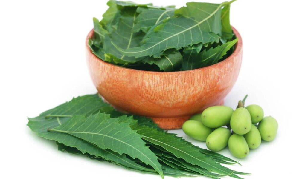 Top 5 Neem Oil and Its Benefits for Skin & Hair 1 Top 5 Neem Oil and Its Benefits for Skin & Hair in 2021