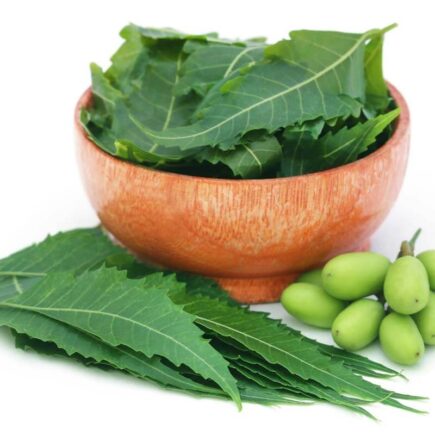 Top 5 Neem Oil and Its Benefits for Skin & Hair in 2021