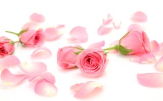 Top 5 Benefits of Rose Water for Skin