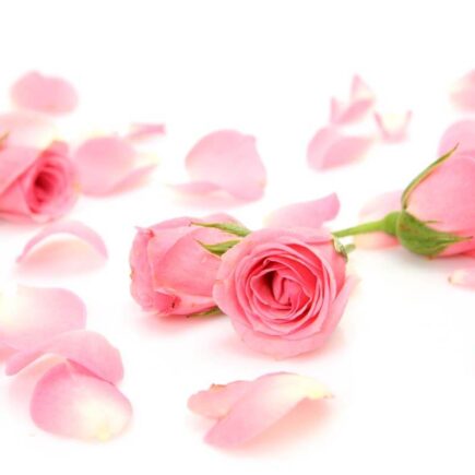 Top 5 Benefits of Rose Water for Skin
