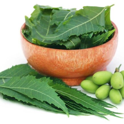 Top 5 Neem Shampoos to Get Rid Of Dandruff and Itchy Scalp