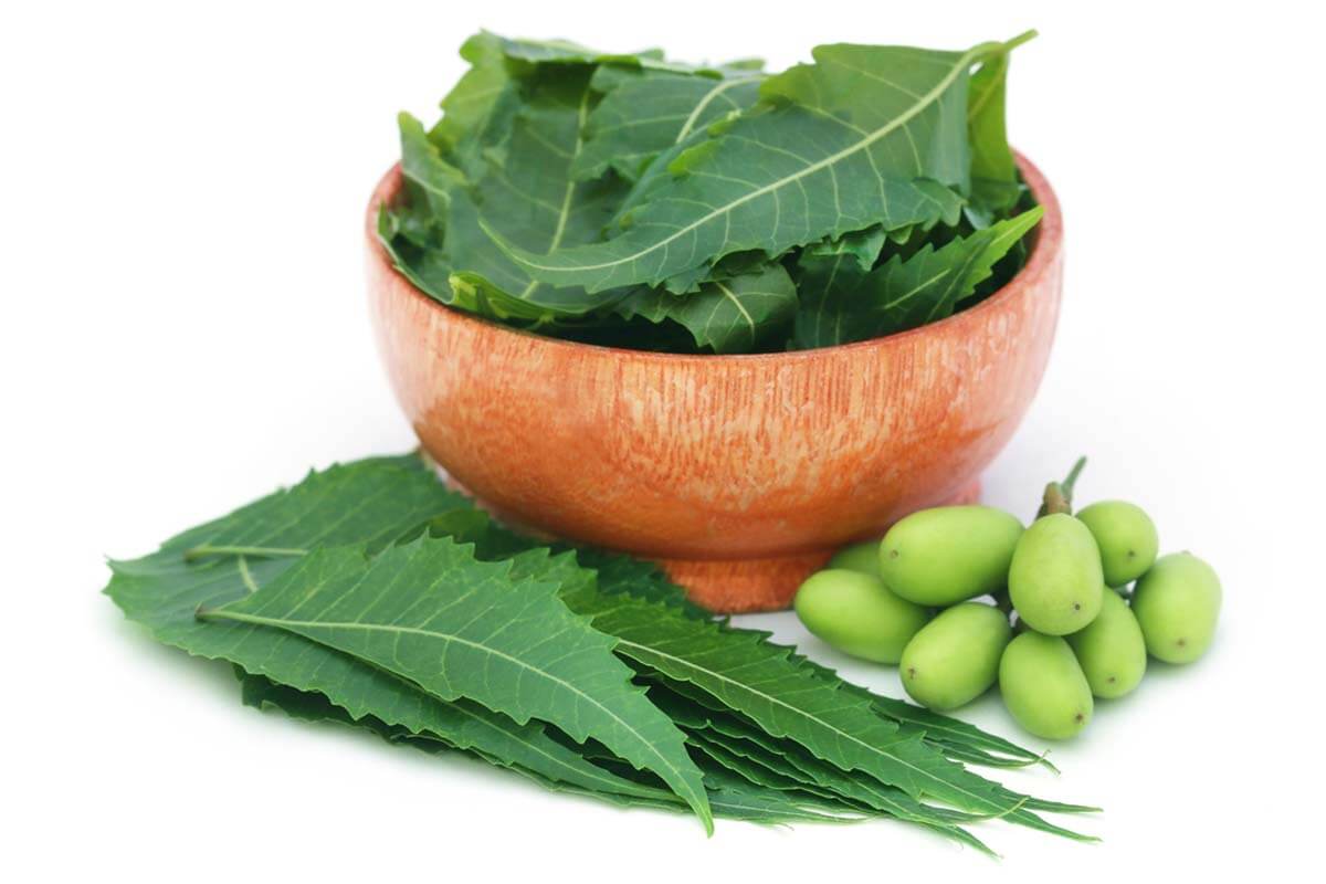 Top 5 Neem Shampoos to Get Rid Of Dandruff and Itchy Scalp