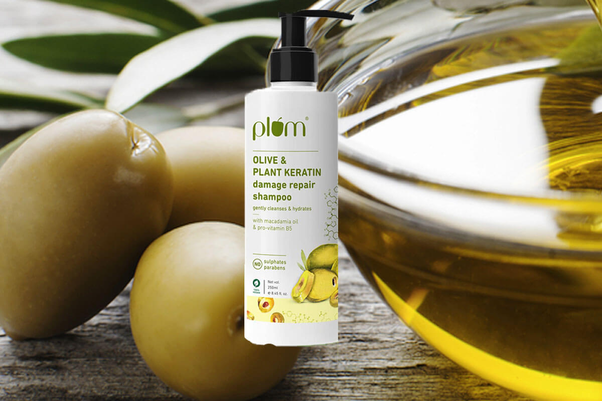 Plum Olive Shampoo for Strong & Smooth Hair