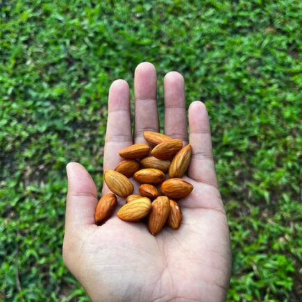 Why-I-Eat-Soaked-Almonds-Everyday-Benefits-of-Soaked-Almonds-for-Skin-Hair-Health