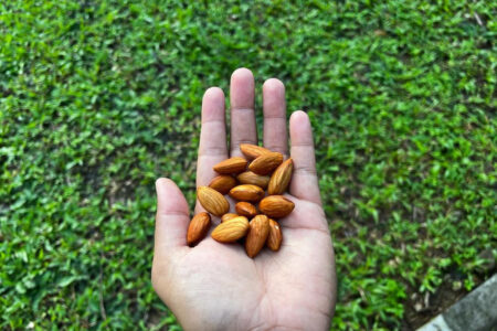 Why-I-Eat-Soaked-Almonds-Everyday-Benefits-of-Soaked-Almonds-for-Skin-Hair-Health
