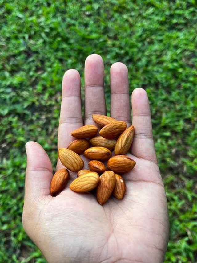 Benefits of Soaked Almond for Skin