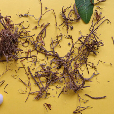 Top-5-Reasons-To-Use-Bhringraj-Powder-For-Hair-1