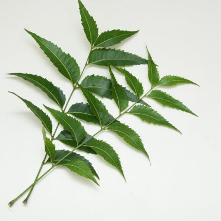 How-To-Use-Neem-Leaves-For-Hair-Growth