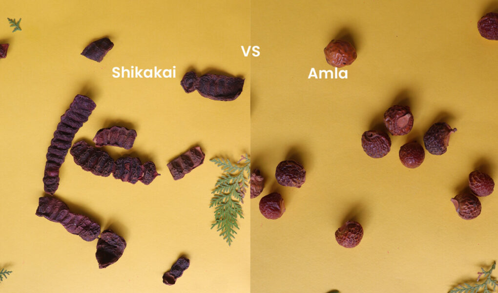 Shikakai-Vs-Amla-Which-Is-Good-For-Hair-1