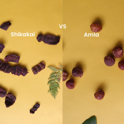 Shikakai-Vs-Amla-Which-Is-Good-For-Hair-1