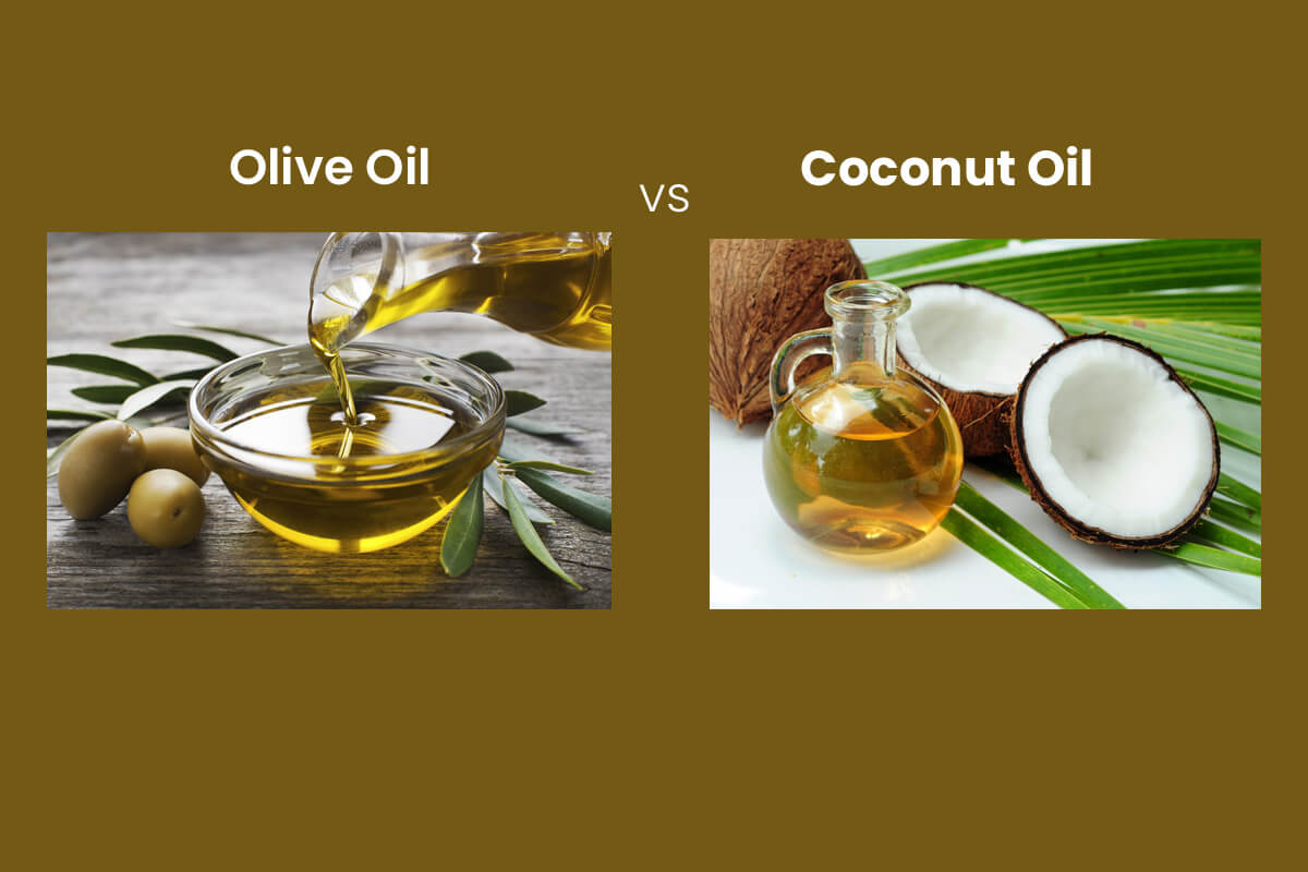 Olive-Oil-Vs-Coconut-Oil-For-Hair-Which-Oil-Is-Good-For-Hair-1.jpg File type: image/jpeg