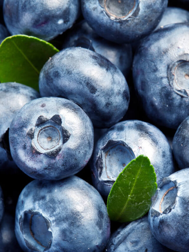 Top 5 Benefits Of adding blueberries to your diet