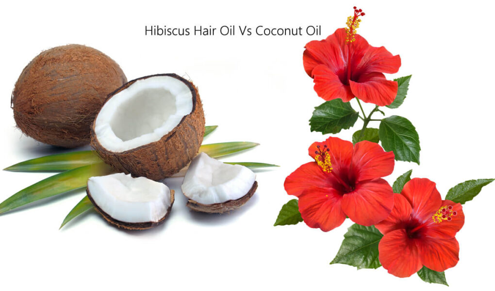 Hibiscus Hair Oil Vs Coconut Oil